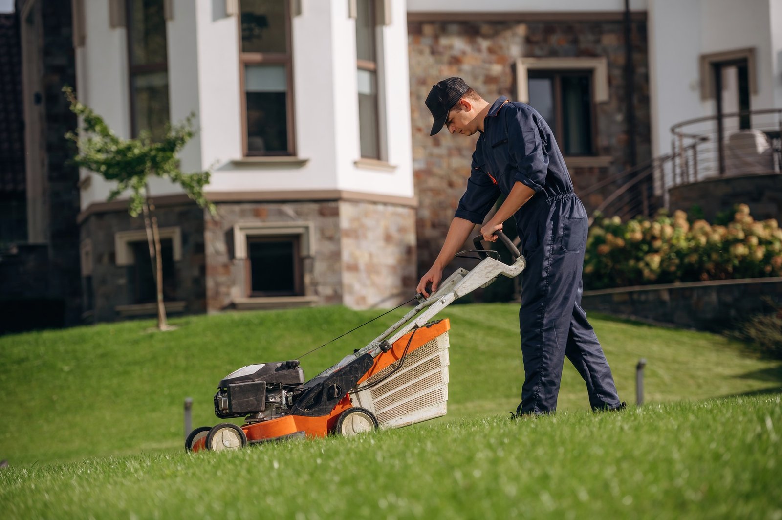 View from the side, cutting grass by lawn mover. Professional gardener is on the lawn